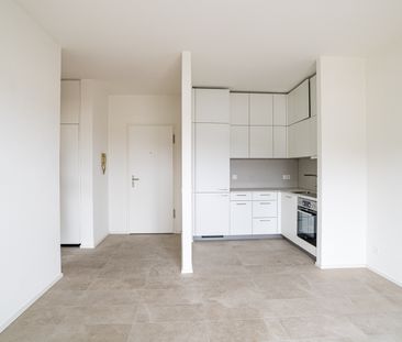 MENDRISIO – 2.5 LOCALI RINNOVATO - Photo 4