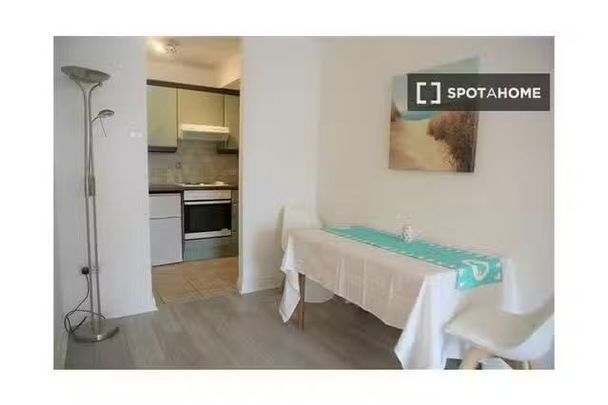 1 bedroom apartment for rent in Dublin - Photo 1