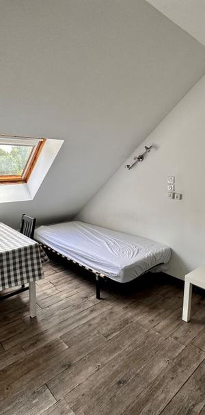 Location Appartement 1 pièce Meublé 15m² LE BOURGET DU LAC 73370 - Photo 1