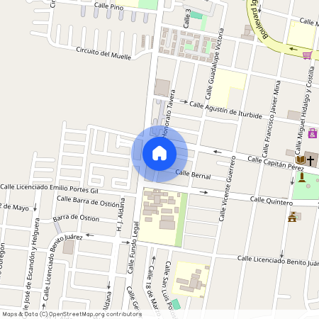 Santa Ana, Altamira, Tamaulipas, 89607, México