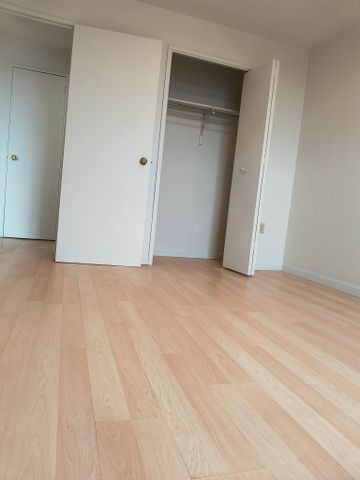 44 Oxford Apartments - Photo 5