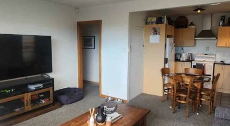 Two bedroom unit with lots of sun - Photo 5