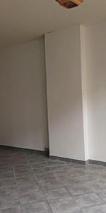 Location Appartement 1 pièce 25m² TOURNUS 71700 - Photo 4