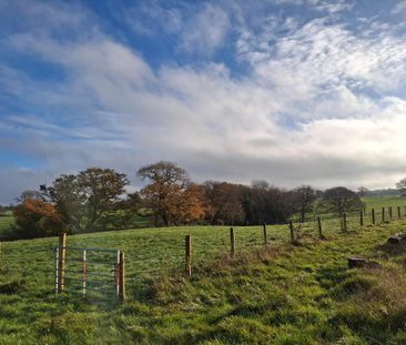 2 bedroom semi-detached house to rent - Photo 5