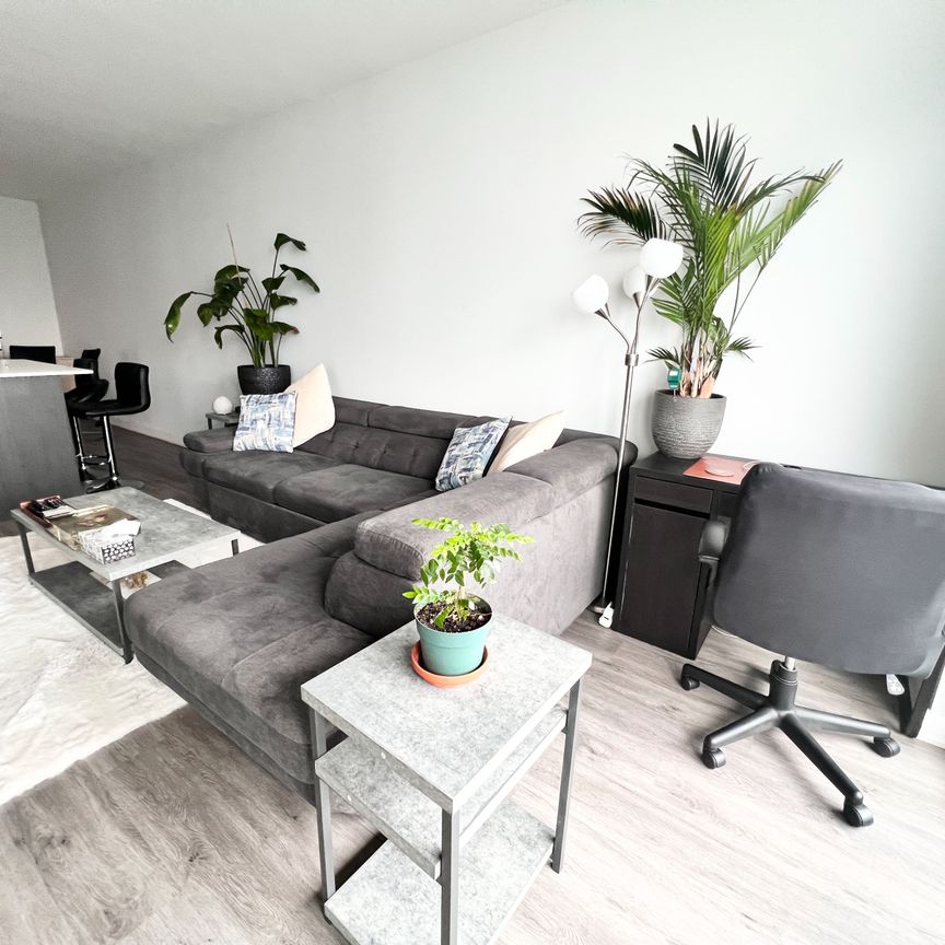 For Lease - 105 The Queensway N/A Unit# 3015, Toronto, Ontario - Photo 1