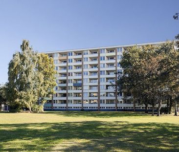 Ideal für Singles und Paare! 2- Zimmerwohnung in Vahrenheide - Photo 1