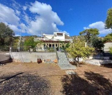 Μονοκατοικία για ενοικίαση Κανάκια (Σαλαμίνα) - Photo 6