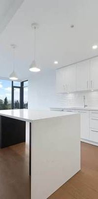 Brand New 1 Bedroom + 1 Den Apartment Available for Rent from 1st Feb - Photo 1