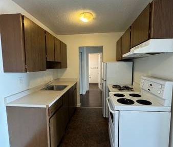 Large 1 Bedroom 1 Bath Apartment in Coquitlam - Photo 4