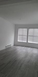 3 Bedroom Apartment - Newly Renovated - Photo 4