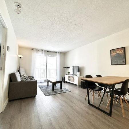 Appartement 3 ½ à louer Sainte-Foy / Sillery septembre 2026 - Photo 3