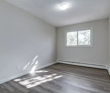 1 Bedroom - Photo 3