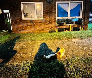 Room in a Shared Flat, Tomlins Orchard, IG11 - Photo 6