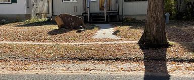 Bungalow - UNIVERSITY | 10941 79 Avenue Northwest, Edmonton - Photo 1