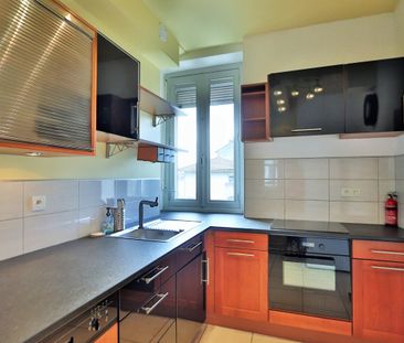 Location Appartement 2 pièces 50m² GRENOBLE 38000 - Photo 5