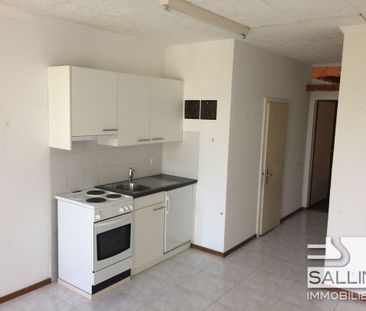 STUDIO AVEC BELLE VUE SUR LA SARINE - Foto 1