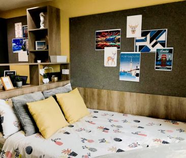 Standard Studio - Photo 2