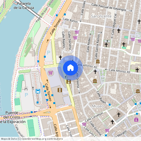 Doctor Jesús Vida, Sevilla, Andalusia 41001