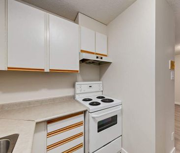Renovated Suite - 2 Bedroom - Photo 4