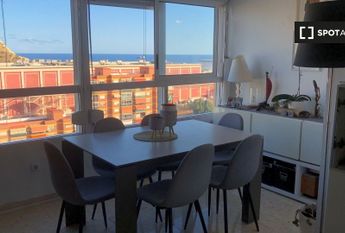 alicante, Valencian Community 03013