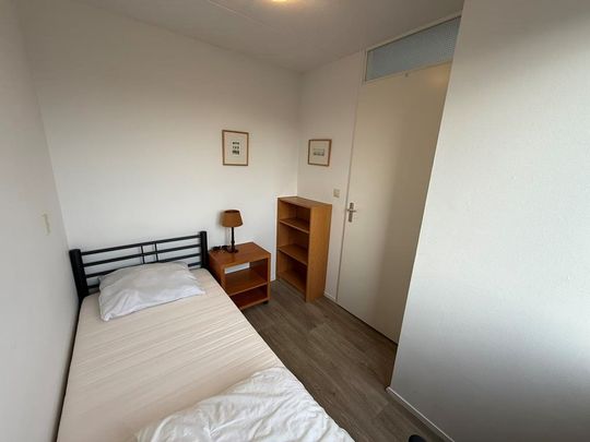 Zeelandiahoeve 273 - Photo 1