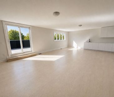 For Lease - 27 Milky Way Drive, Richmond Hill, Ontario - Photo 6