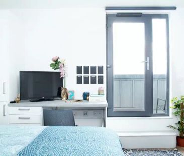 Premium Studio - Photo 6