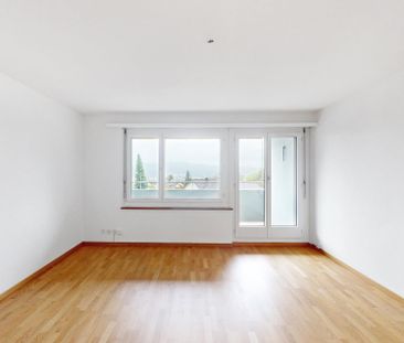 Im schönen Höngg - Foto 2