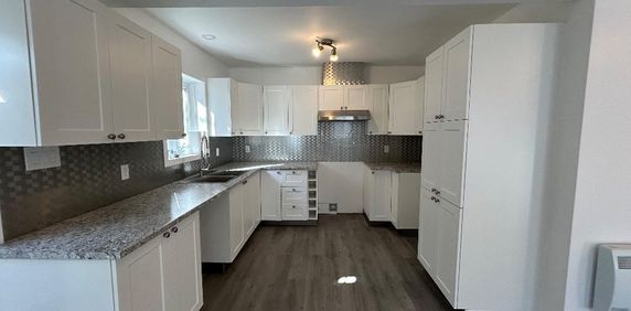 Grand 4 1/2 à louer Vieux Terrebonne - Photo 2