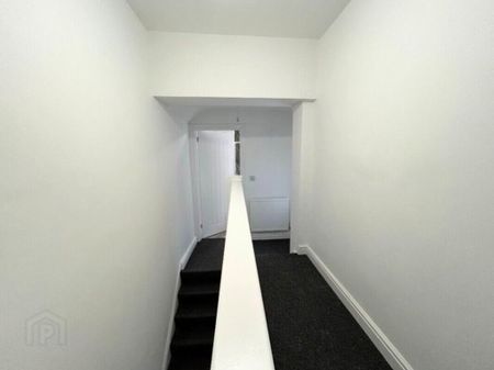 12 Melrose Street, Belfast, BT9 7DN - Photo 4