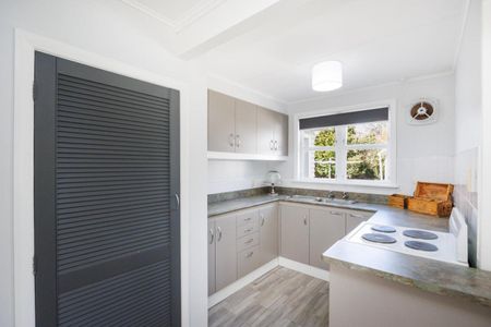 Friendly Feilding home for rent - Photo 3