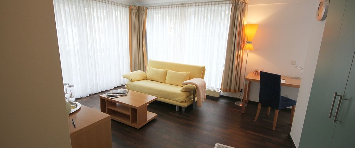 Exklusiv möblierte Wohnungmit Terrasse in direkter Rheinlage - Photo 1