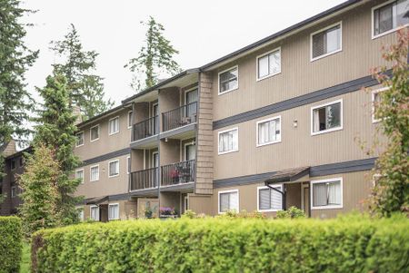 Cedar Green Apartments - Photo 4
