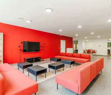 Gerenoveerde studentenkamers & studio’s - Foto 2