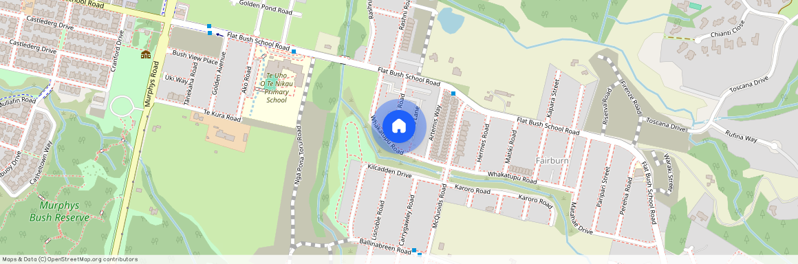 38 Rana Road, Flat Bush, Auckland