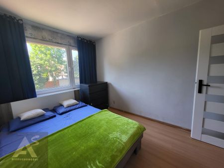 mieszkanie Elbląg na wynajem - Фото 3