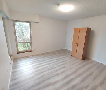 Newly Renovated Spacious Three Bedroom/Two Bathroom Rancher in John... - Photo 6