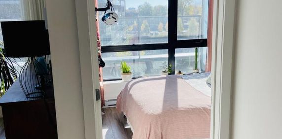 4 1/2 - Montréal (Griffintown) - 2 930 $/mois - Photo 2