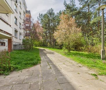 *Panoramiczne okno z tarasem - widok na las* - Фото 2