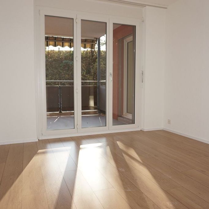 3.5 Zimmer, 64 m², EG - Foto 1