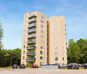 Bredhøj, 4 6.th., Silkeborg, 8600 - Photo 6