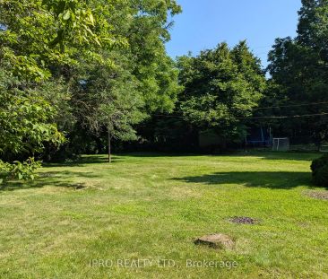 Detached Home For Lease | W9256844 - Photo 6