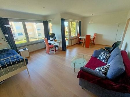 Appartement lumineux près de la ville avec coin salon de jardin ensoleillé à louer - Photo 2