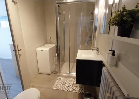 Appartement T2 à louer à Annemasse - Photo 4