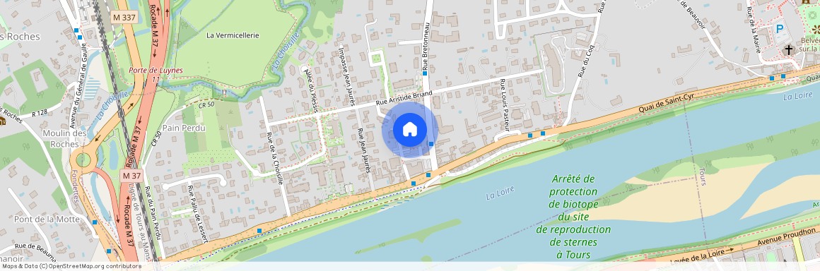 37540, Saint-Cyr-Sur-Loire