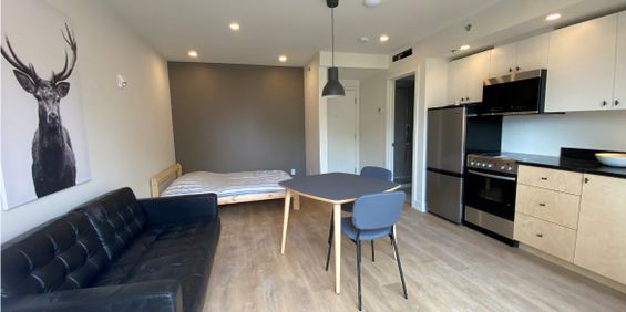 Montréal – Studio tout inclus à louer - Photo 3