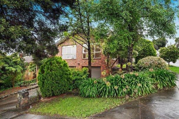 91 Dellfield Drive, Templestowe - Photo 1