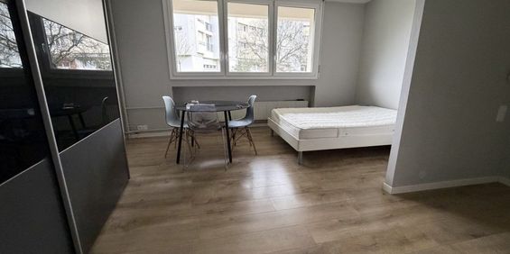 Appartement 1 pièce à Sarrebourg - Photo 3