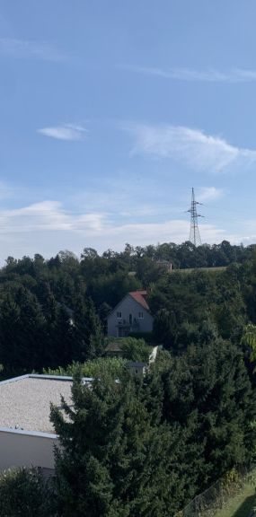 3-Zimmer-Wohnung in ruhiger Lage! - Foto 1