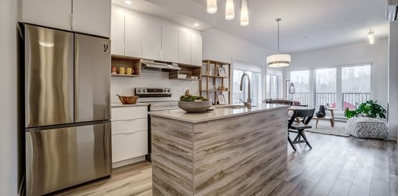 2 chambres - 20 Rue De La Bonne-Renommée, Gatineau - Photo 2